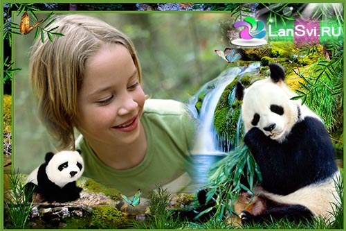Рамка онлайн с пандами на природе - вставить фото