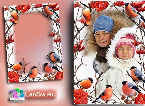 Фоторамка онлайн - Снегири - зима с рябиной - вставить фото