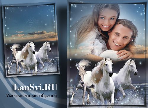 Онлайн фотоэффект - Белые кони - красивые лошади