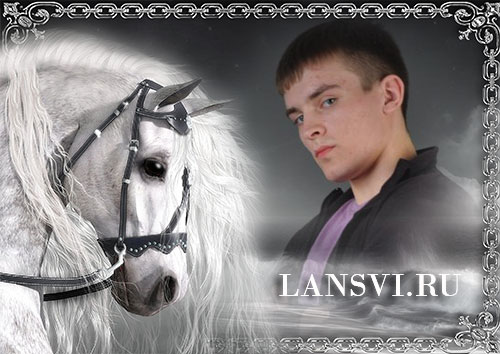 Фотоэффект онлайн с белой лошадью, фотоэффекты с животными