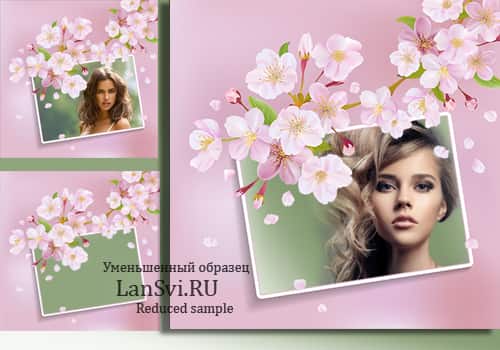 Цветущая вишня - рамка для фото Blossom cherry