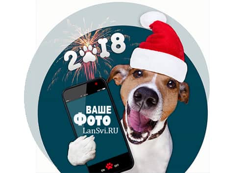 Собака 2018 - Новогодний аватар - вставить фото в рамку